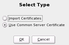 YaST OpenLDAP Server Configuration: Selecting a Certificate