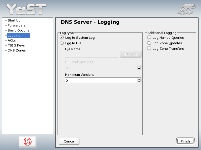 DNS Server: Logging