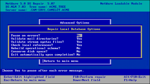 The Repair Local Database Options screen.